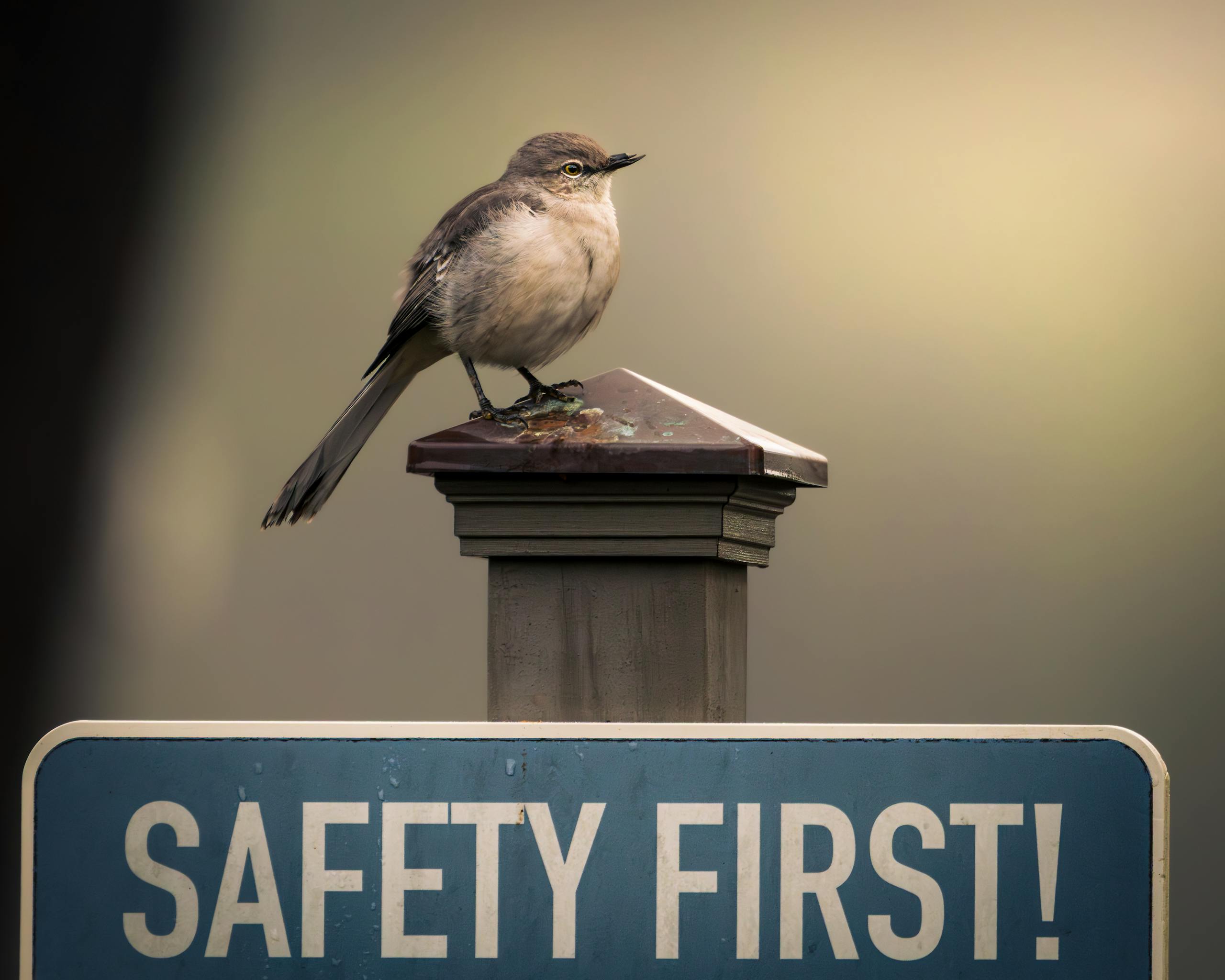 70.0 — Why Safety Precedes Strategy